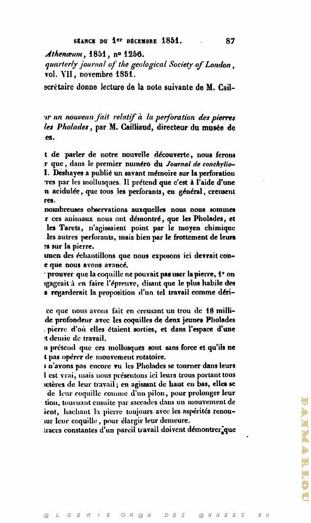 BULLETIN DE LA SOCIETE GEOLOGIQUE DE FRANCE 1852_000128.jpg
